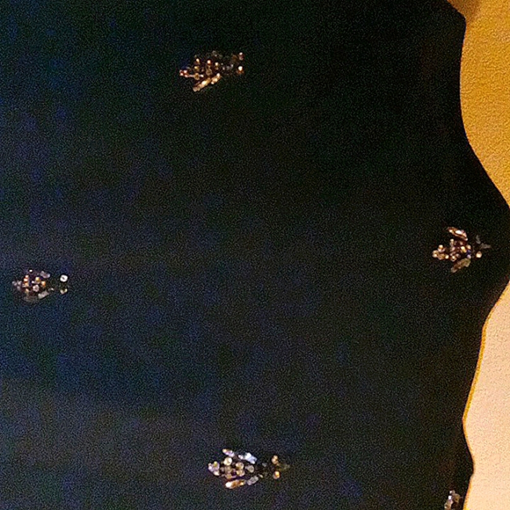Jeweled Skirt
